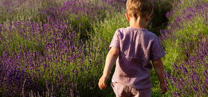 Holistic Harmony: Lavender, Cedarwood, and Sandalwood in SallyeAnder Lavender Moon Soap
