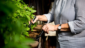 Garden Ingredients: Cultivating Wellness for Skin and Spirit