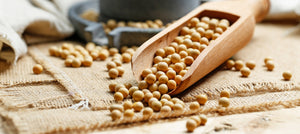 Soy Oil: A Dual Role in Bug Defense and Essential Oil Potency