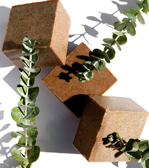 Image for ESSENTIAL SOAPS