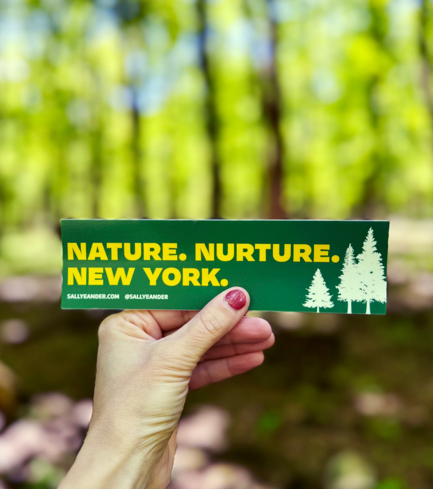 Nature Nurture New York Sticker
