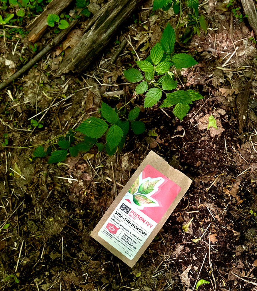 Poison Ivy Soap