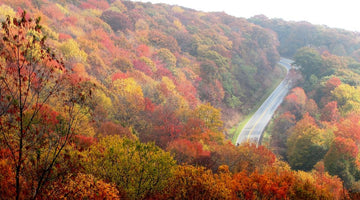 Fall Skincare Guide: Keep Your Skin Soft, Hydrated & Healthy