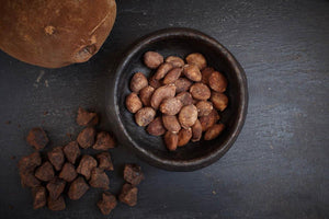 Ingredient Spotlight: Cupuacu Butter