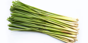 Ingredient Feature: Lemongrass