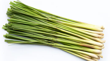 Ingredient Feature: Lemongrass
