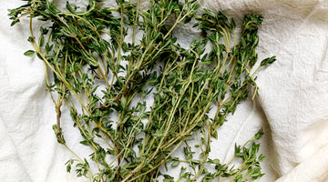 Ingredient Feature: Thyme