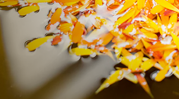 The Role of Essential Oils in Candles: Bringing Nature Into Your Home