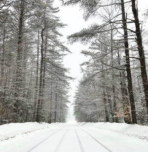 Winter Relief
